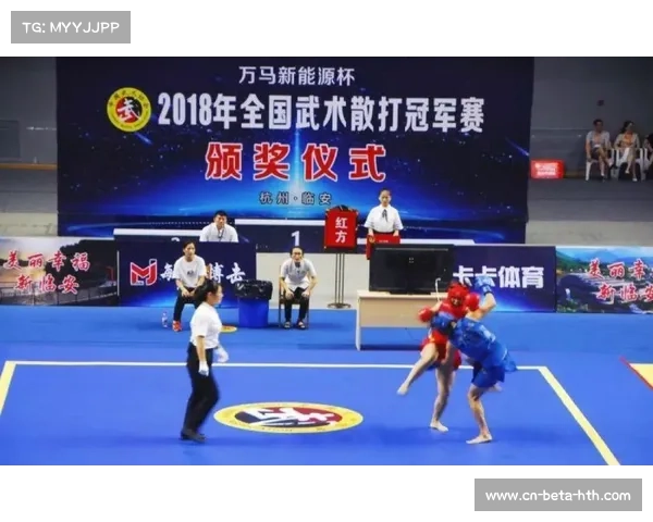海南武术大赛创新招商模式 新能源车企携手冠名助力赛事发展 海南武术大赛创新招商模式 新能源车企携手冠名助力赛事发展